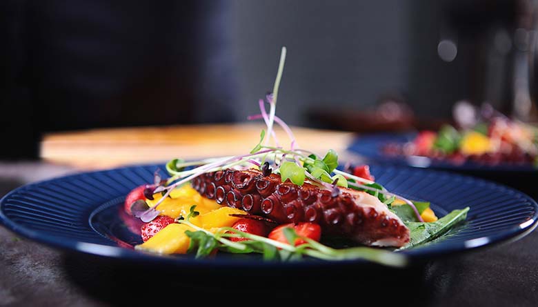 Ideas de Platos gourmet de alta cocina con pulpo para impresionar a los clientes de tu restaurante